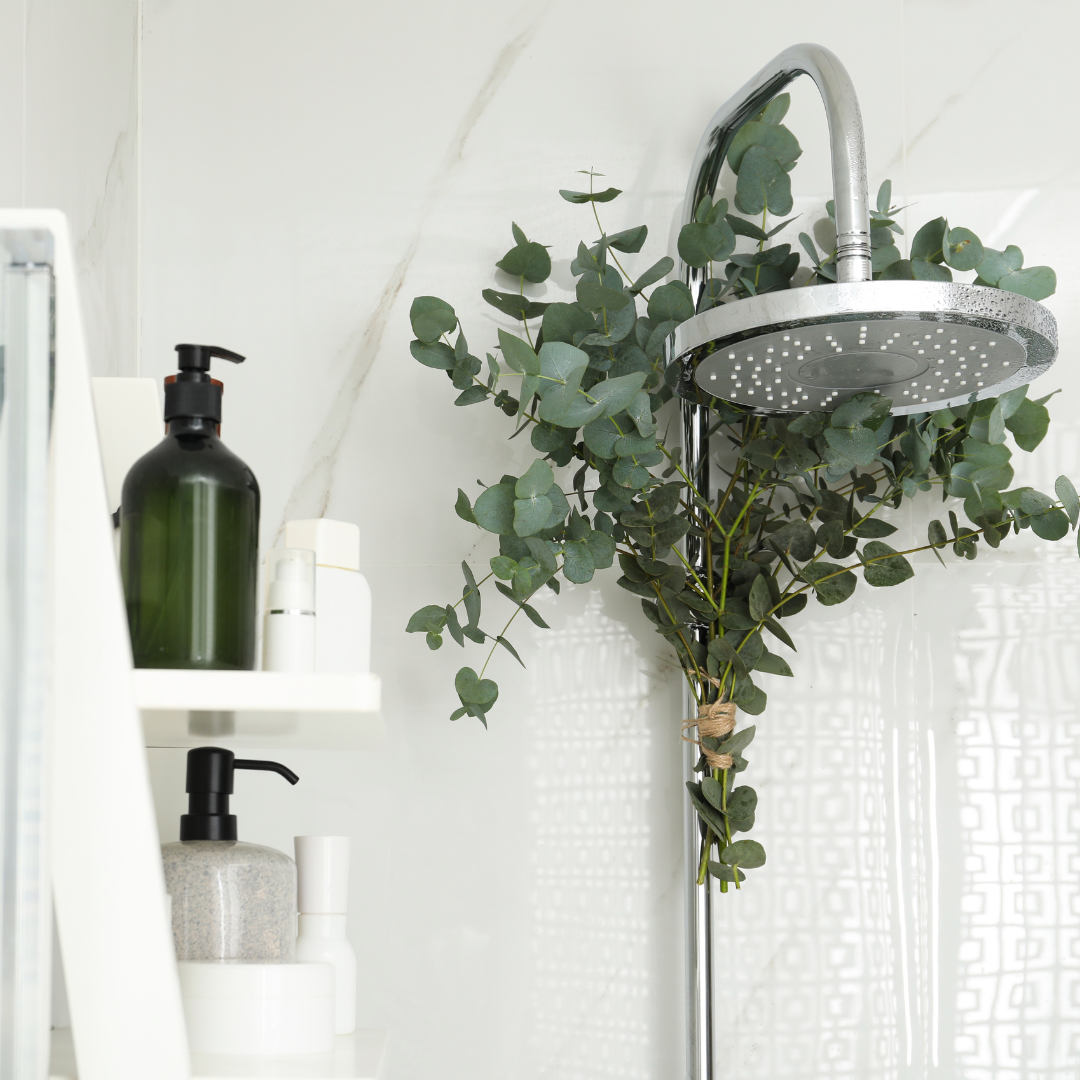 BANHO DE CHUVEIRO AROMÁTICO